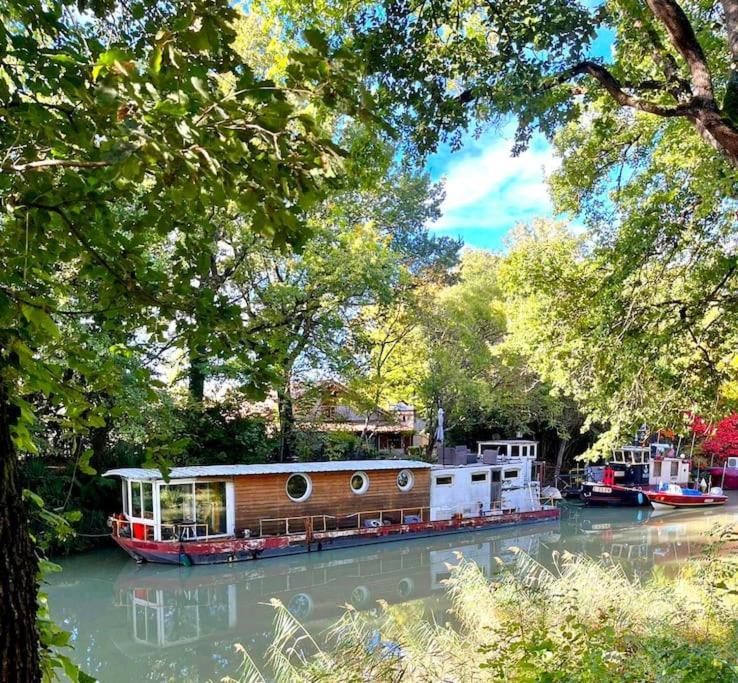 Insolite Peniche Amazonie Canal Du Midi Gardouch Dış mekan fotoğraf