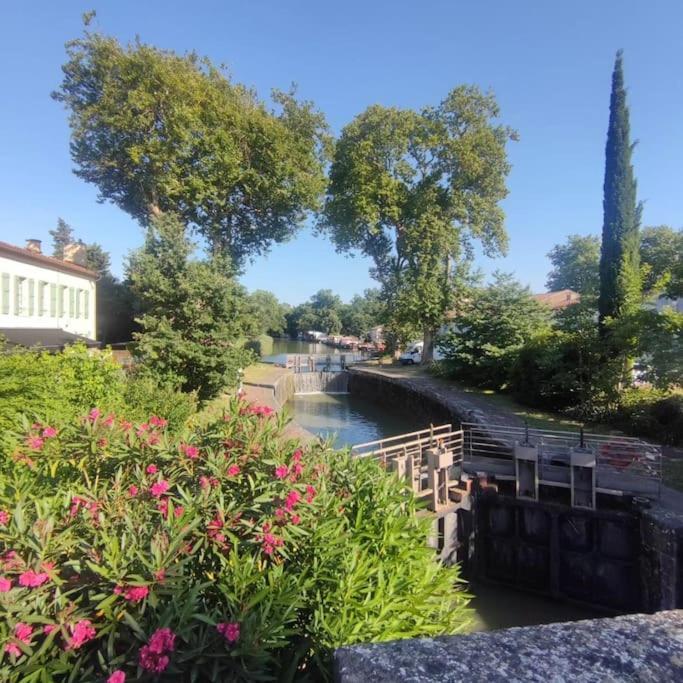Insolite Peniche Amazonie Canal Du Midi Gardouch Dış mekan fotoğraf