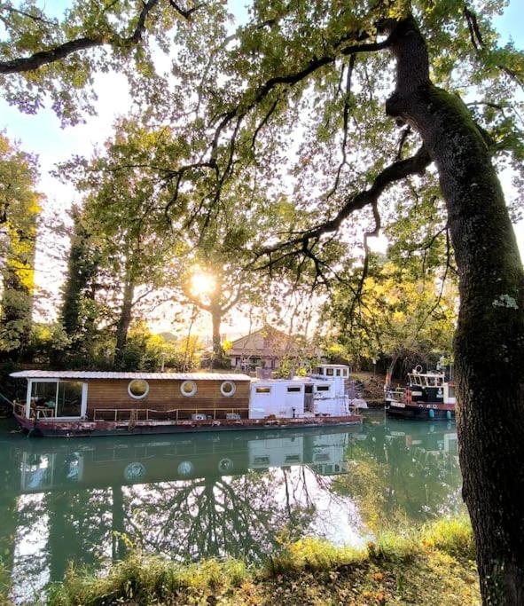 Insolite Peniche Amazonie Canal Du Midi Gardouch Dış mekan fotoğraf